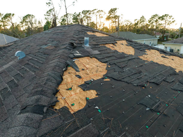 Professional Roofing in Wolfhurst, OH